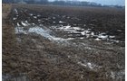 Property photo 10 - East Allen County Land Auction - 40 Acres in 2 Tracts
